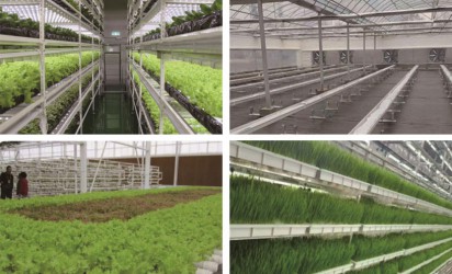 无土栽培、植物工厂技术介绍