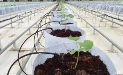 水肥一体化设备与物联网如何相结合