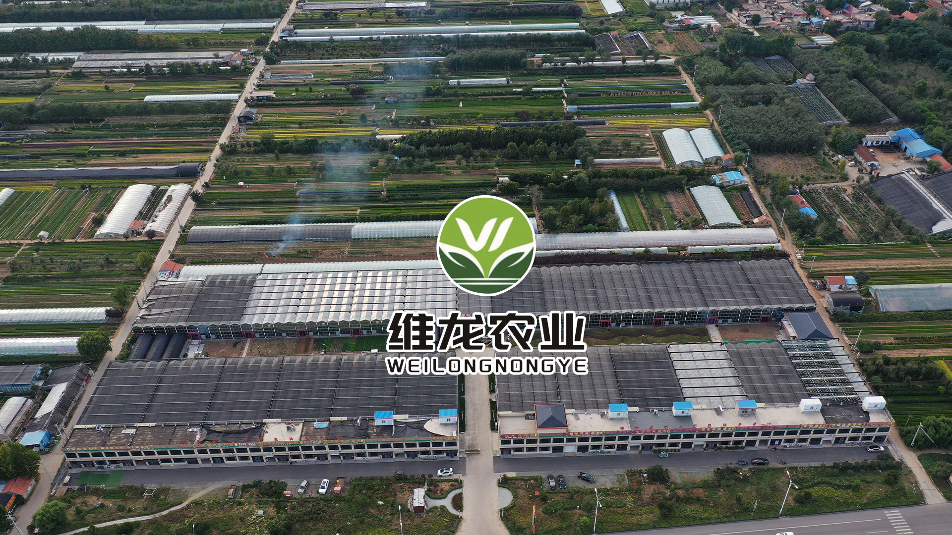 维龙农业科技(山东)有限公司