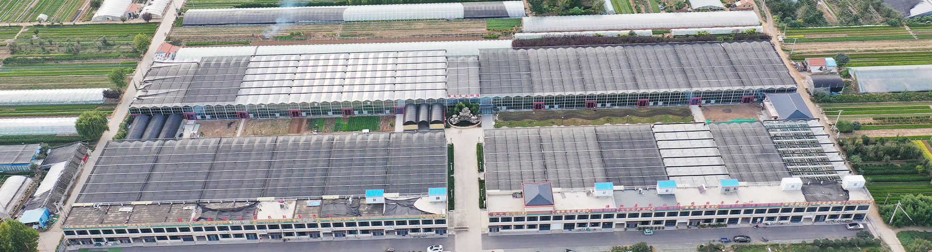 维龙农业温室大棚设计施工运营